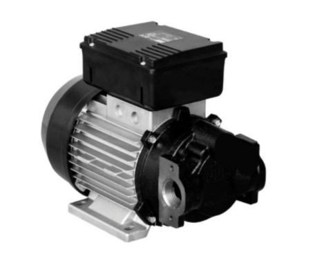 Bomba Elétrica de Palhetas 1" 50Lpm - 220V